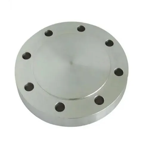 Pipe Blind Flange